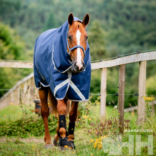 MANTA AMIGO 1200D PLUS CON CUBRECUELLO EXTERIOR MEDIUM (250g)