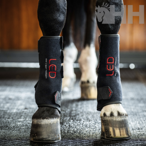 VENDA TERAPEUTICA HORSEWARE LED RED LIGHT