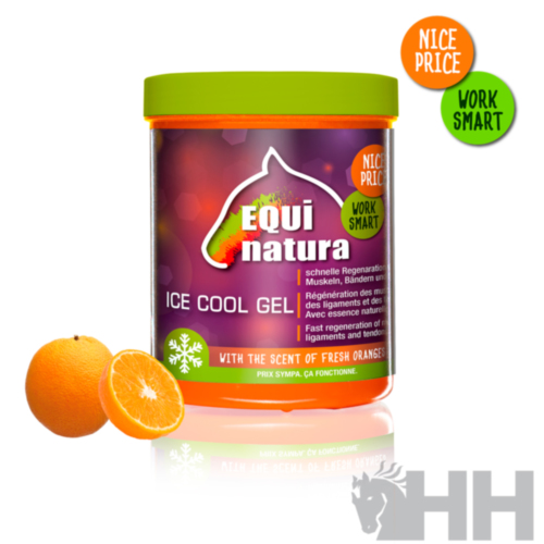 GEL TENDONES DEFATIGANTE EQUINATURA ICE COOL